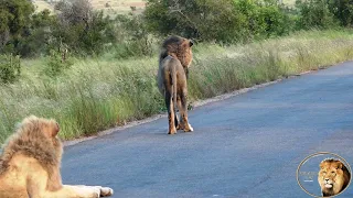 Mfowethu Brother Of Casper The White Lion 2023 vs 2024