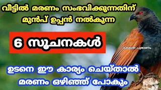 വീട്ടിൽ മരണം നടക്കുന്നതിന് മുൻപ് ഉപ്പൻ നൽകുന്ന സൂചനകൾ