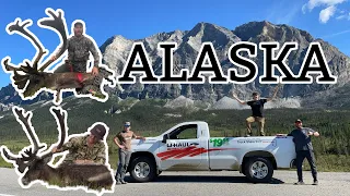 EPIC DIY Caribou Hunt in the Wild North! - Haul Road Adventure