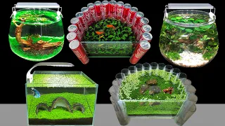 Top 5 DIY Planted Aquarium Decoration Ideas - How To Make Mini Aquascape At Home Decor Mr Decor #159