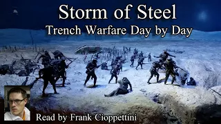 Storm of Steel - Trench Warfare Day by Day by Ernst Jünger  (1920), Audiobook