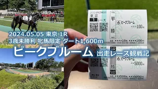 ピークブルーム出走レース観戦記(5/5 東京 1R 3歳未勝利 牝馬限定 ダート1,600m)