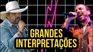 Melhores INTERPRETAÇÕES Sertanejas