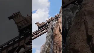 Expedition Everest Big Drop