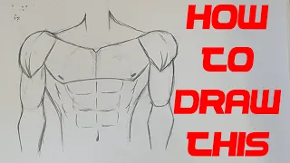 How to draw muscles/abs on torso like a pro - DrawTokyo