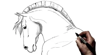 How To Draw A Horse | Step by Step | Side View