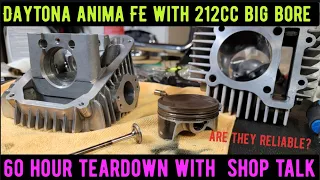 Daytona Anima FE 212cc 60 hour top end teardown