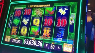 LUCKY LINK! #jackpot I DID IT AGAIN! VICTORYLAND CASINO 🎰 FOR THE WIN🤑