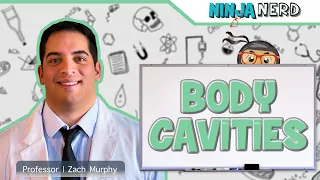 Body Cavities & Serosal Membranes