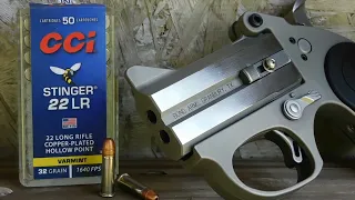 CCI Stinger: Pocket Pistol Ammo Test