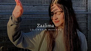 Zaalima [ Slowed & Reverb ]