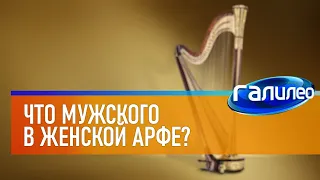 Галилео 🎶 Что мужского в женской арфе?