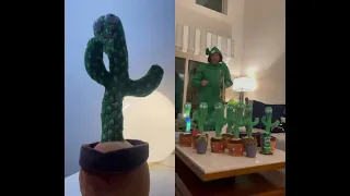 Original Dancing Cactus 🌵| Mimic Sound Dancing Cactus Toy | Review Video