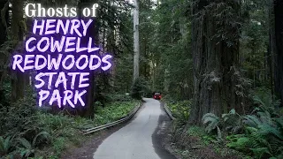 Ghosts of Henry Cowell Redwoods State Park