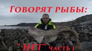 ВЕСЕННЯЯ ТРЕСКА / часть 1 / Say fish, "NO" part 1/ SPRING COD