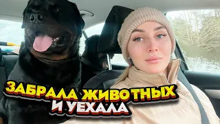 Поехали в Тверь все вместе | Молодая Ферма