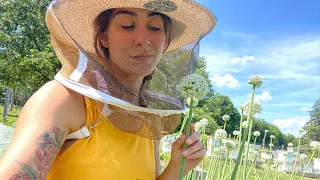 The Beekeeper’s Garden- Homesteaders of America  Garden Tour