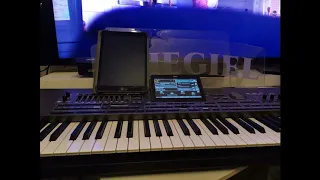 Юрий Шатунов Белые розы)cover Korg 4x Musikant