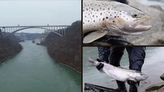 Ultimate Trout Fishing On The Niagara River: Steelhead and Brown Trout Caught!