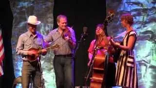 A Fool Such As I - Foghorn Stringband at CBA Festival