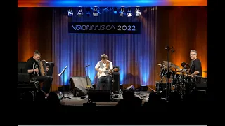 Solo Vincent Peirani - Lullaby for Emma @visioninmusica