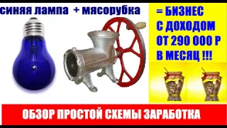 Синяя лампа + мясорубка = Бизнес идея с доходом от 10000 рублей в день.