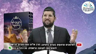 נביא |שמואל ב פרק ו3|  זוגיות בארמון המלוכה |הרב אליהו עמר