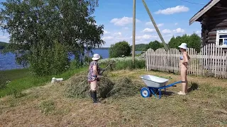 Наши соседи по деревни. Убирают сено около дома