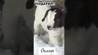 СЕРЕЖКИ  НЕ  ОТ СЕРЕЖКИ!