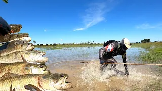 APESAR DO SUSTO A PESCARIA DE TRAIRA FOI UM SUCESSO