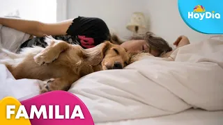 Estos son los pros y los contra de compartir la cama con tu perro | Hoy Día | Telemundo