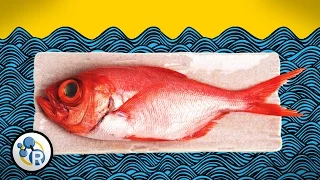 How To Make Fish Less Fishy (Chemistry Life Hacks)