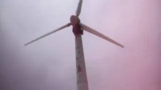 Big Island - South Point - Kamaoa Wind Farm