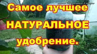 Самая лучшая натуральная подкормка вытяжка из золы