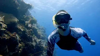 Chapter 6 - Freediving at Mandolin dive site, Bunaken, Indonesia 2022