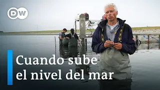 Cambio climático: Países Bajos protege su litoral | DW Documental
