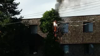 Building evacuated, as high-voltage power lines spark fire in ivy-covered power poll