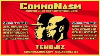 CommoNasm (Common and Nas Meet Soviet Soul/Jazz) sampler