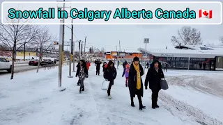 Snowfall in Calgary Alberta Canada #canada #calgary #alberta