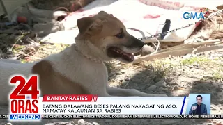 Batang dalawang beses palang nakagat ng aso, namatay kalaunan sa rabies | 24 Oras Weekend