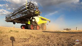 12 Claas Lexion Combines moving on to the next Field