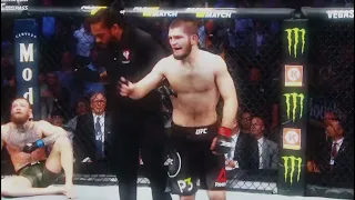 Khabib Nurmagomedov edit