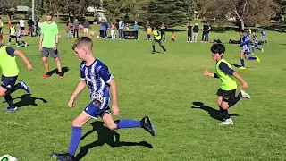 Saturday South U11, Glen Eira FC (Comets) vs Brighton SC Satellites