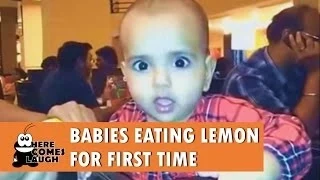 Babies eating lemon for first time - Compilation [NEW 2014]
