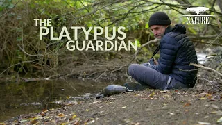 Nature: The Platypus Guardian PREVIEW