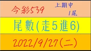 今彩539 『尾數(走5進6)』上期中1尾【2022年9月27日(二)】肉包先生