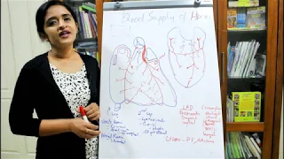 BLOOD SUPPLY OF THE HEART(with MCQ's) BY DR ROSE JOSE MD