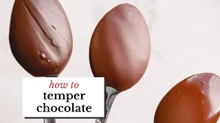 everything you need to know about tempering chocolate