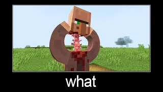 Minecraft wait what meme part 268 (Crazy scary Villager)