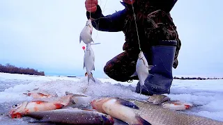 ПОПАЛ НА РЫБЬЮ ТРОПУ! Зимняя рыбалка С ночевой в палатке. Как на северном полюсе.